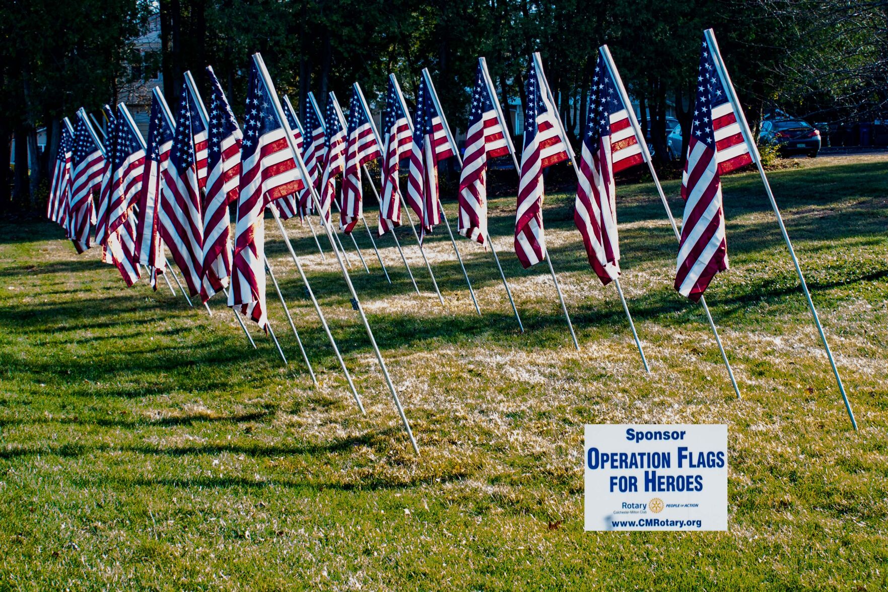 Flags for Heroes photo